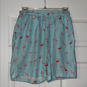 Men's Flamingo Print Blue Shorts
